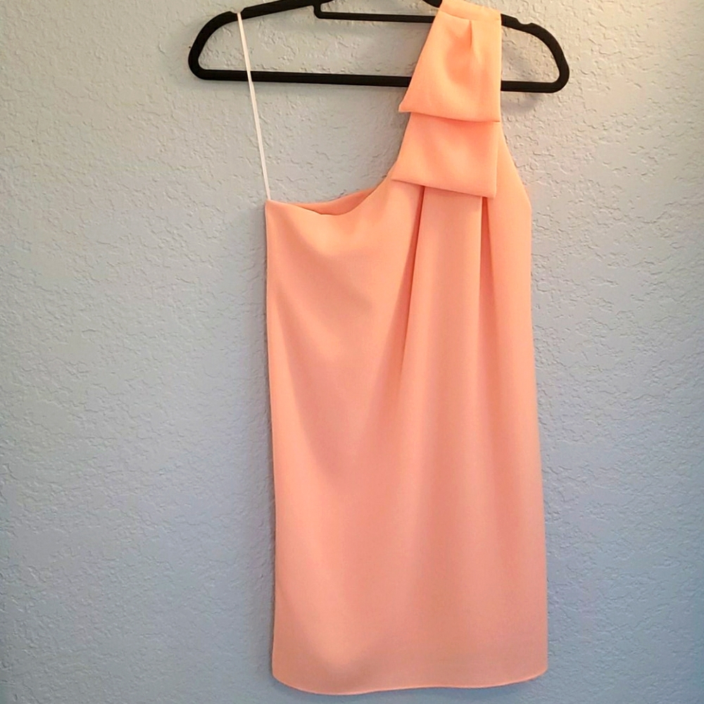 Blush Pink One Shoulder Dress